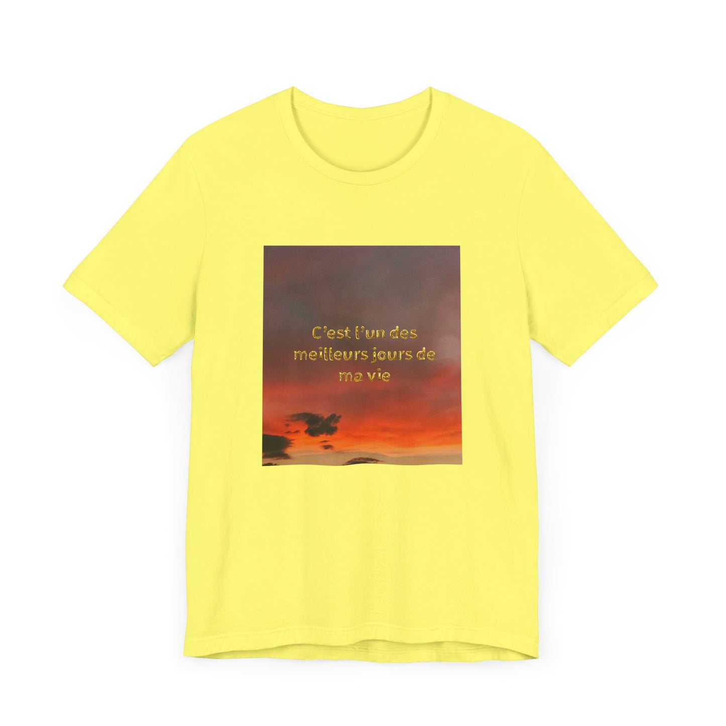 C'est l'un des meilleurs jours de ma vie, Unisex t-shirt