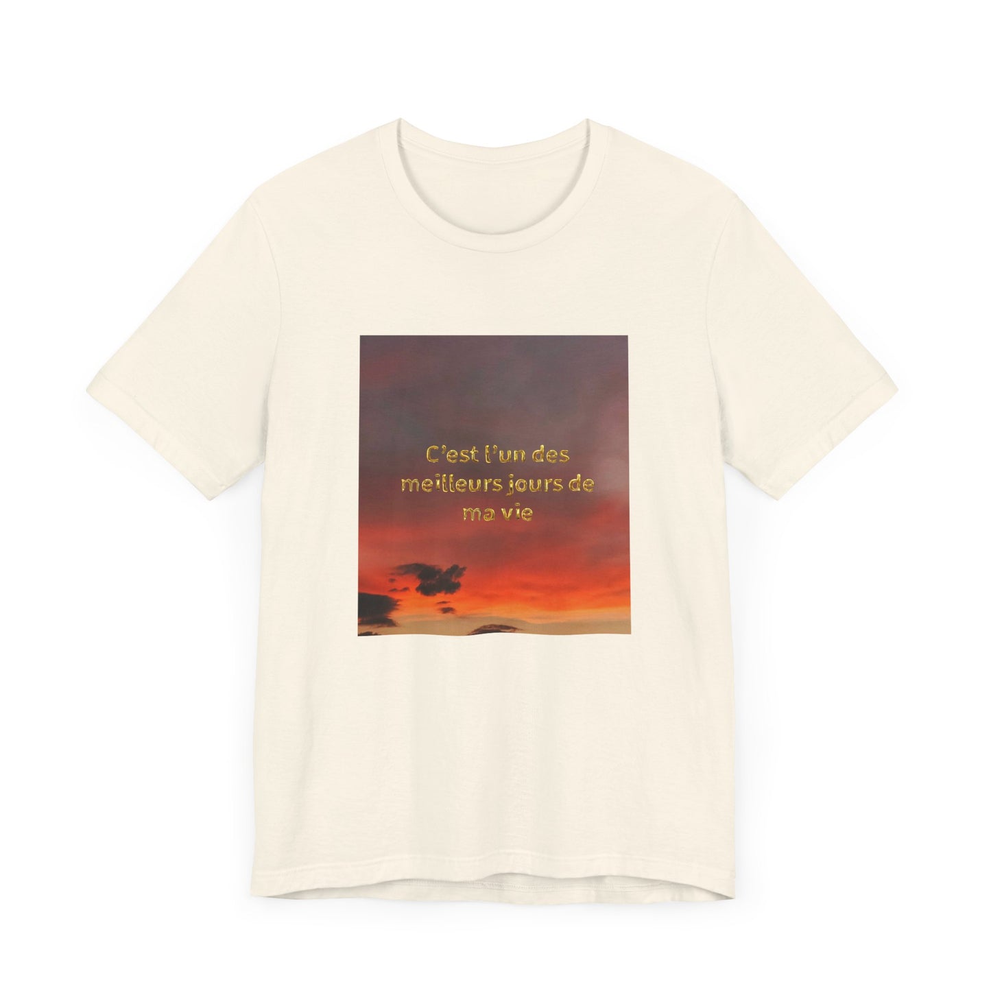 C'est l'un des meilleurs jours de ma vie, Unisex t-shirt