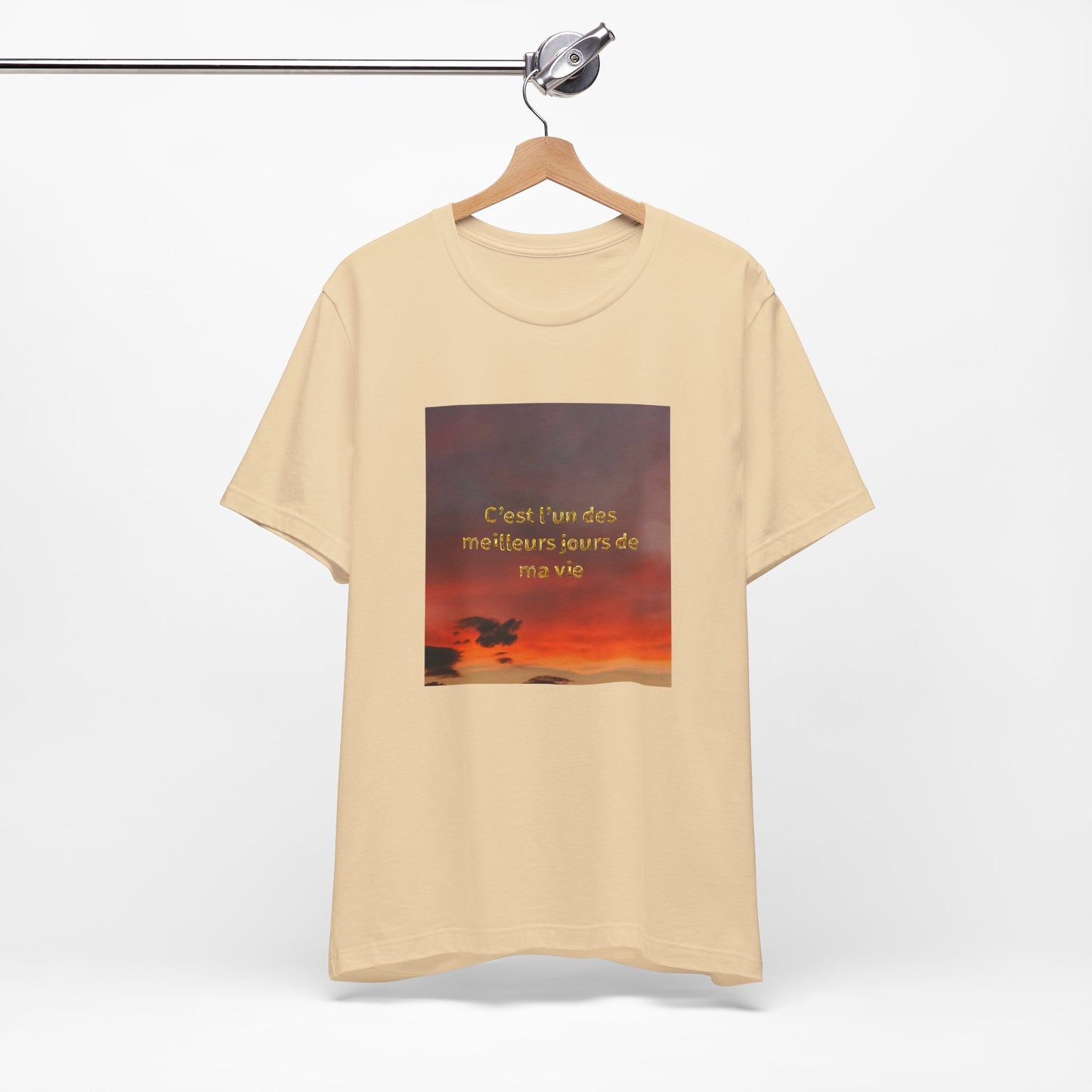 C'est l'un des meilleurs jours de ma vie, Unisex t-shirt