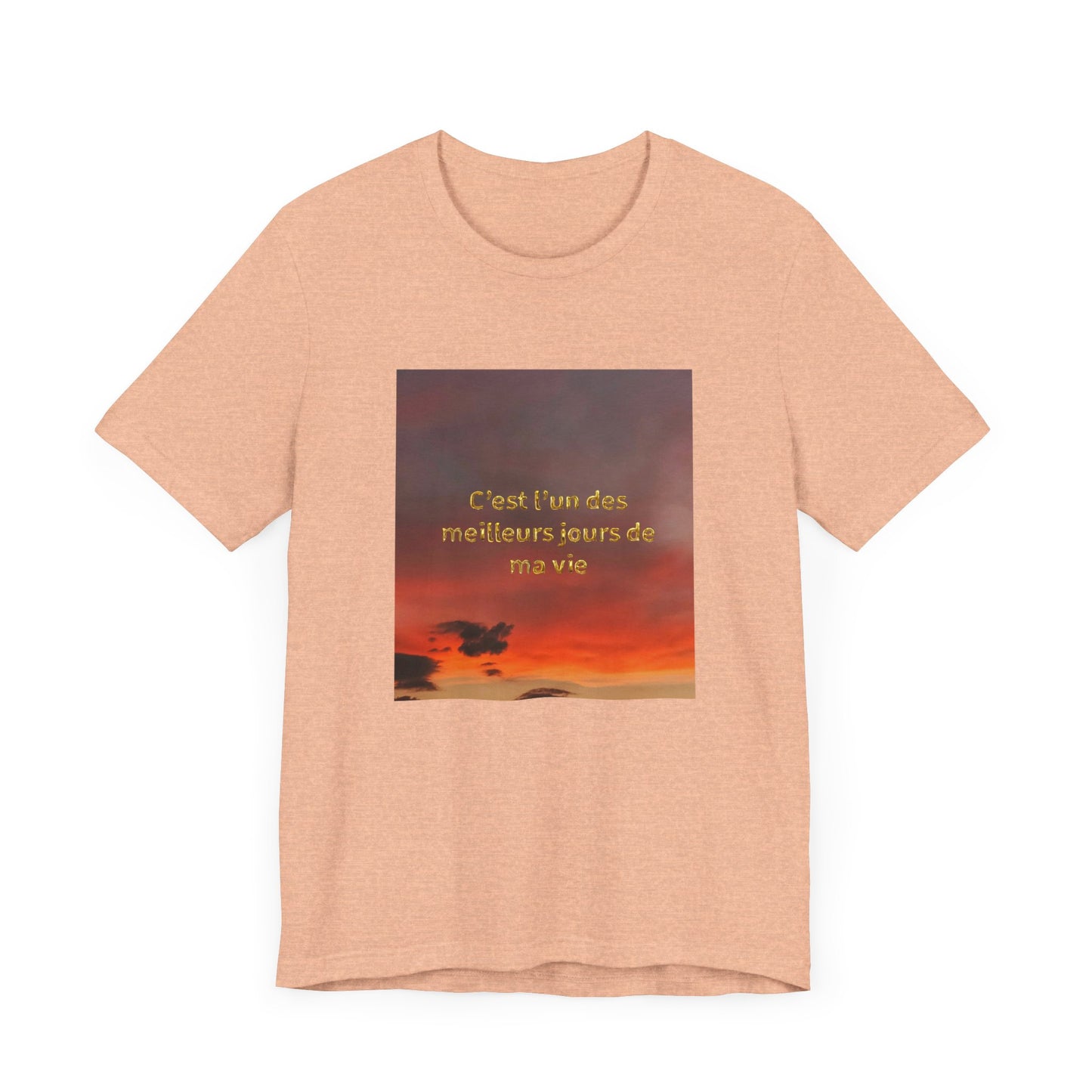 C'est l'un des meilleurs jours de ma vie, Unisex t-shirt