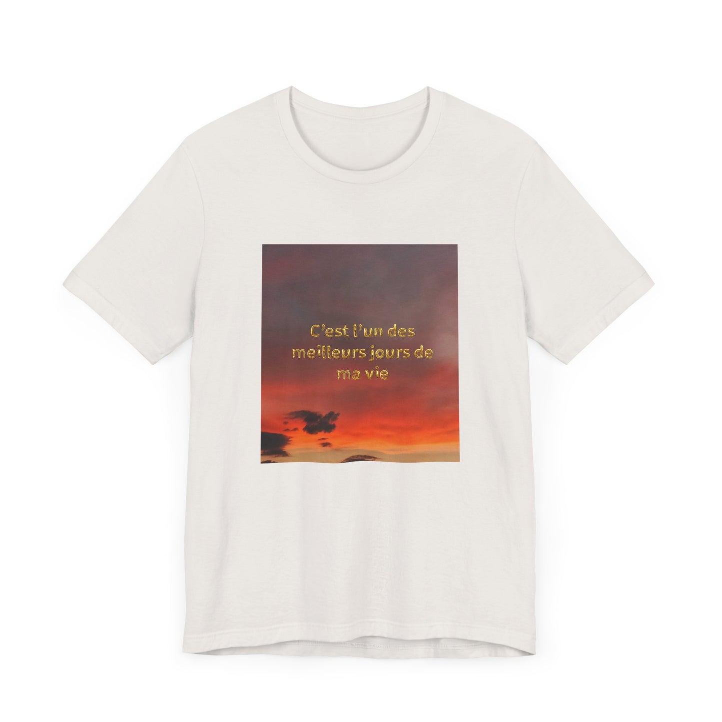 C'est l'un des meilleurs jours de ma vie, Unisex t-shirt