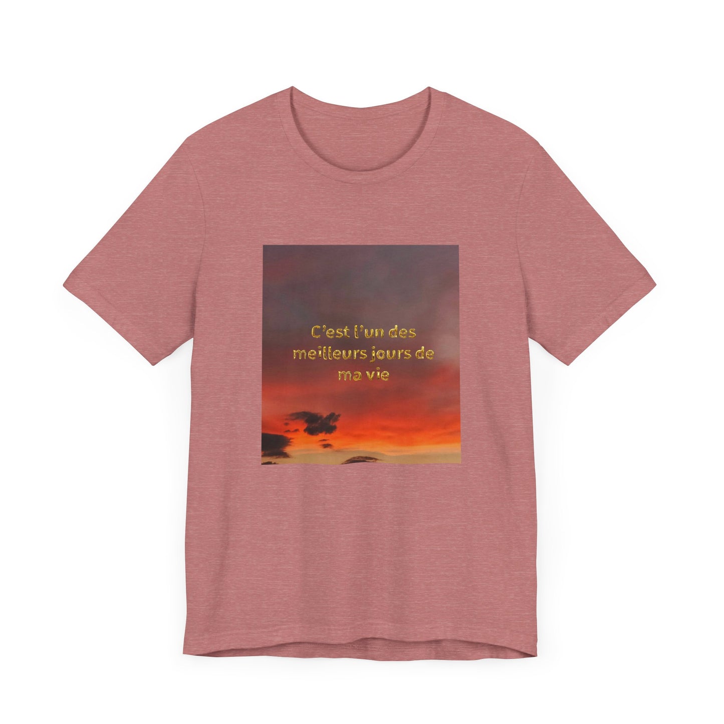 C'est l'un des meilleurs jours de ma vie, Unisex t-shirt