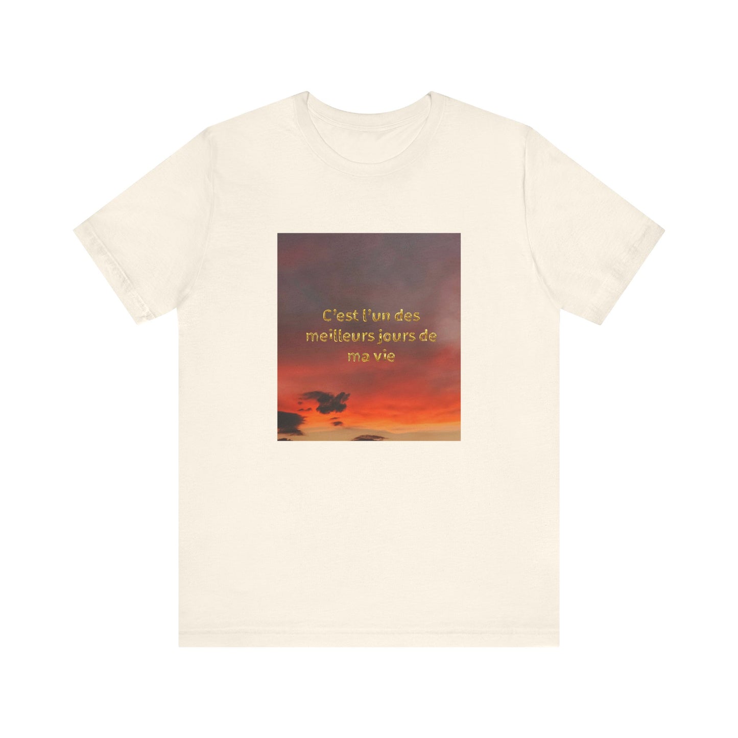 C'est l'un des meilleurs jours de ma vie, Unisex t-shirt