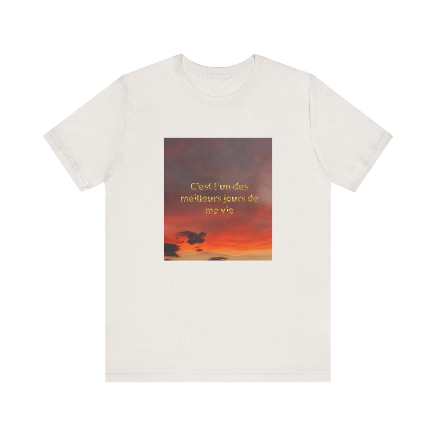 C'est l'un des meilleurs jours de ma vie, Unisex t-shirt