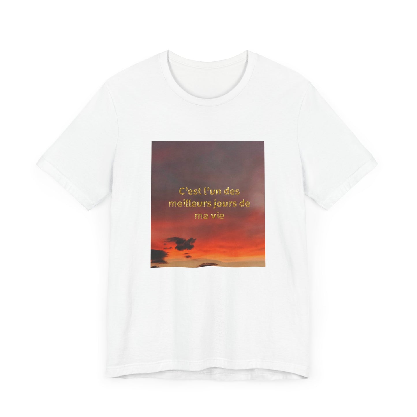 C'est l'un des meilleurs jours de ma vie, Unisex t-shirt