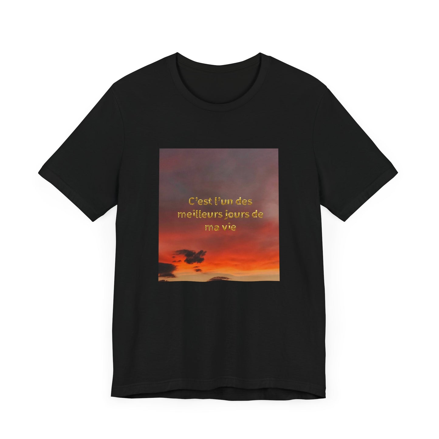 C'est l'un des meilleurs jours de ma vie, Unisex t-shirt