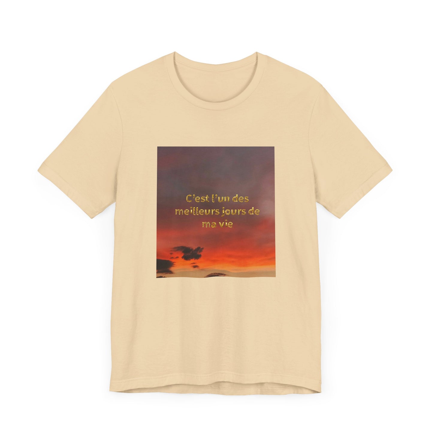 C'est l'un des meilleurs jours de ma vie, Unisex t-shirt